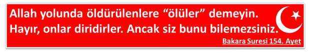 şehitlere ölüler demeyin