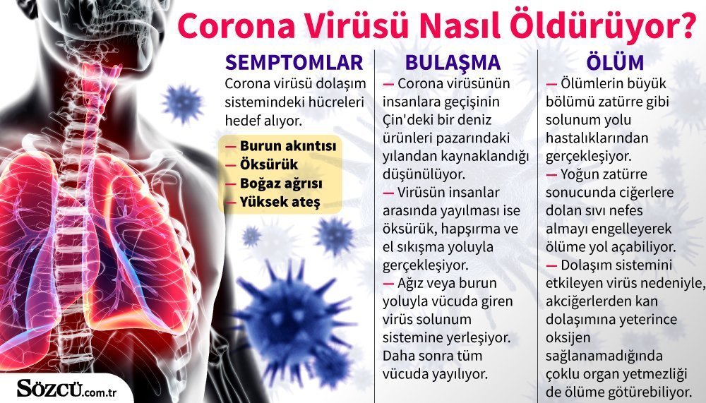 Corona Virüsten Yurdışında Ölen Türkler