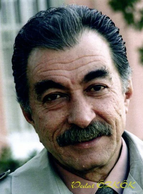 Vedat Özkök